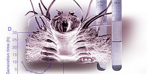 Extremophiles,Sulfurous Cauldrons, and the Ethanol Puzzle