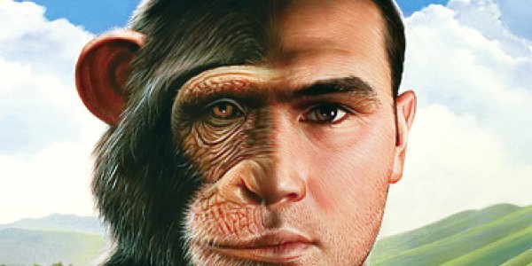 Gene Regulation And The Difference Between Human Beings And Chimpanzees