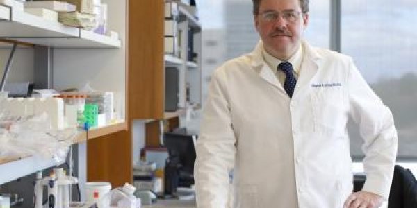 T Cell Immunotherapy Show Promising Results For Leukemia