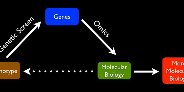 We Still Can't Explain Biology With Molecules