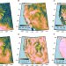 You Didn't Feel Continental Mantle Earthquakes, But They Happened. A Lot
