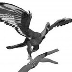 Article teaser image