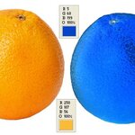 Article teaser image