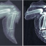 Article teaser image