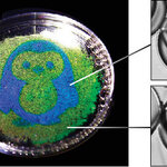 Article teaser image