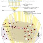 Article teaser image