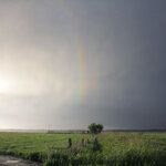 Article teaser image