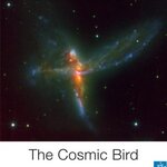 Article teaser image