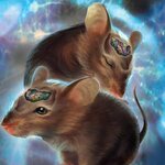 Article teaser image