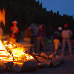 Article teaser image