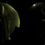 Article teaser image