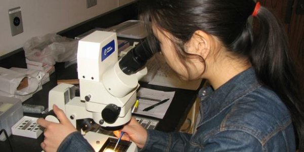 Warm Oceans Had Less Oxygen, Show Microfossils