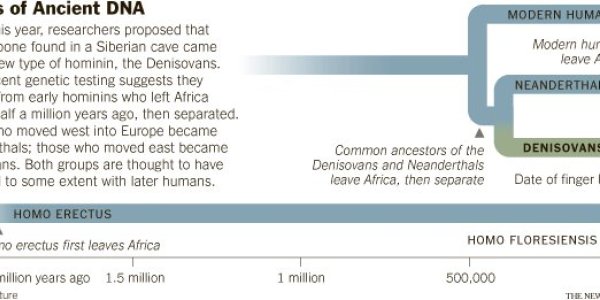 Did Interbreeding With Neanderthals And Denisovans Boost Our Immune System?