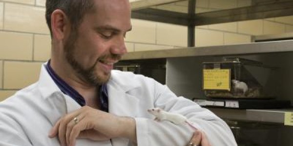 Mice and men should have more in common in clinical trials