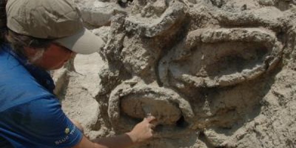 Ancient Israel Really Was The Land Of Milk And Honey - Or At Least Honey