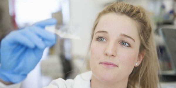 Melittin: Honeybee Venom Compound Kills Triple-Negative Breast Cancer Cells