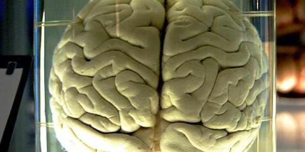 Don't Call Me Rational!