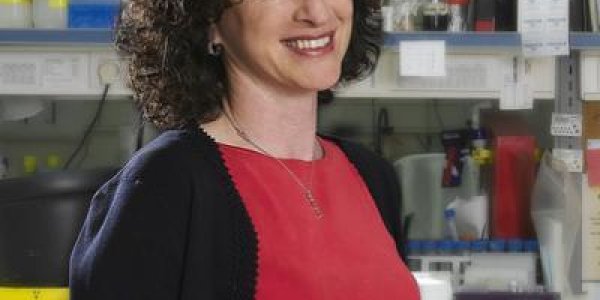 Scaling the wall of deafness