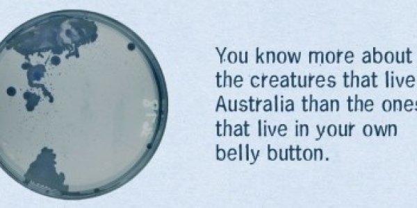 Belly Button Biology