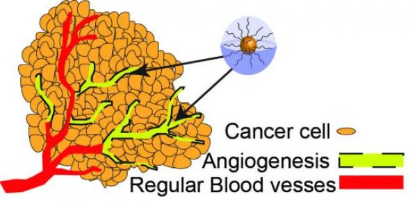 Control Cancer By Making The Tumor Cell Environment Hostile