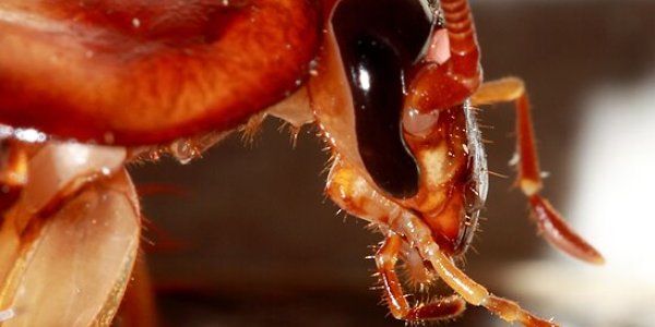 I have a New Position, but Why?