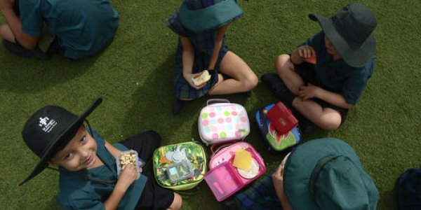 Changes To Bugs In The Gut Could Prevent Food Allergies