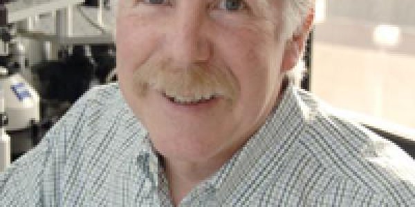 UT Southwestern researchers reveal how the brain processes important information