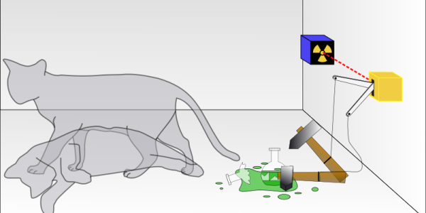 Cool Thought Experiments III: Schrodinger's Cat