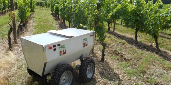Wine Production - Now With More Robots!
