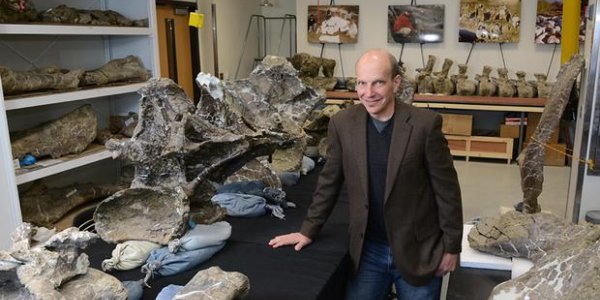 Dreadnoughtus Schrani Is A New, Supermassive Dinosaur Species