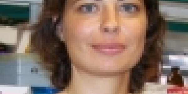 How Cells 'Count', Multiply And Sometimes Transform Into Cancer