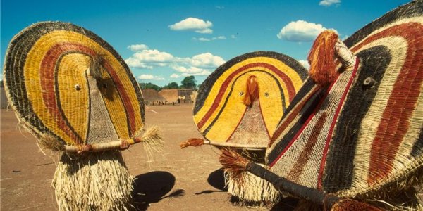 Did We Learn Basketry From Animals?