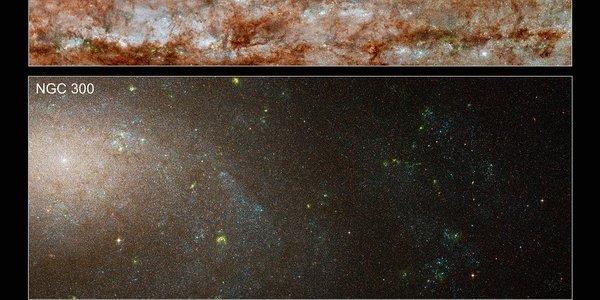 Equal Opportunity Galaxies Are All About Diversity