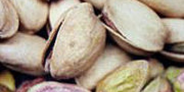 When Salmonella Met Pistachio