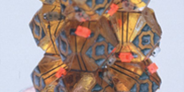 Building Frankentissue With Inside-Out Cells