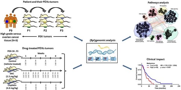 Epigenetic Predictors Of Ovarian Cancer