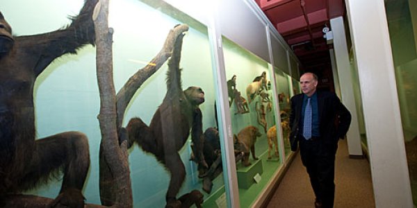 Cavemen Cooked 2 Million Years Ago - And It Was Due To Efficiency