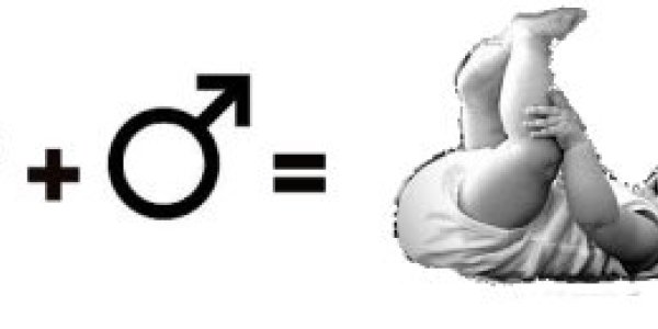 Love: An Almost Scientific Investigation