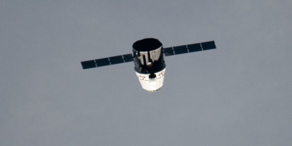 Is That A Dragon In Your Berth Or Are You Just Happy To See Me?