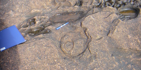 Can you guess what it is yet?