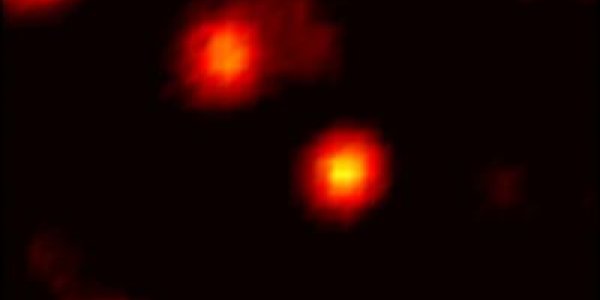 Fluorescent Nanoparticles Could Help Track Molecules Through A Living Cell