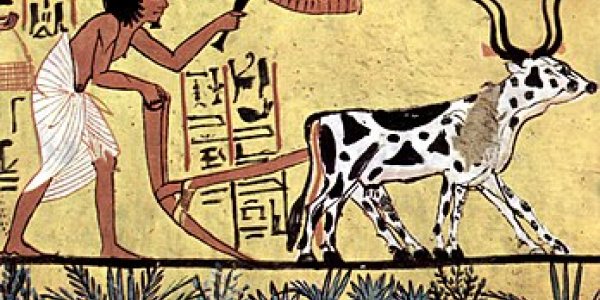 Let’s Get Vertical