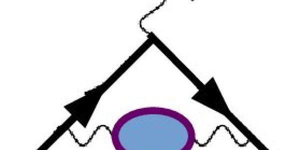 News Of The Demise Of The Standard Model Were Exaggerated