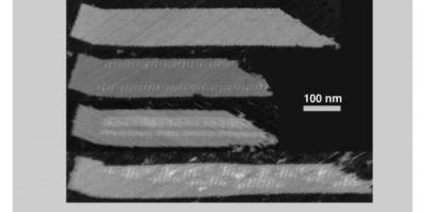 DNA Self-Assembly, But With A Plan, Using 'Origami Seeds'