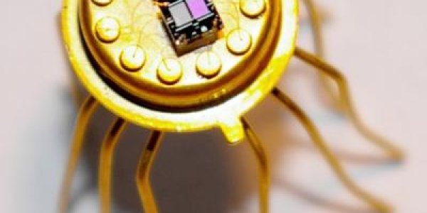 How Ripe Is Your Pineapple?