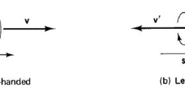 The Cleverest Experiment Of Twentieth Century