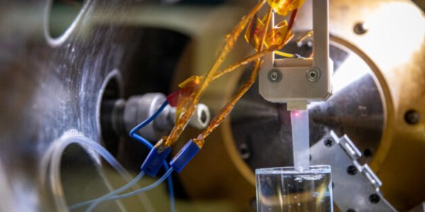 Breakthrough: First Direct Measurement Of The Donnan Potential