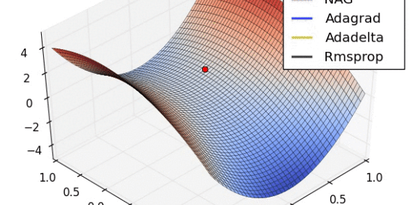 Automatic Differentiation: DerivGrind
