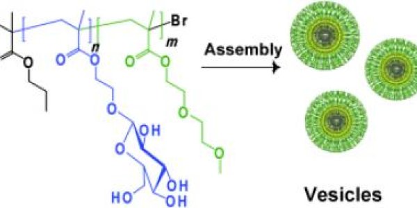 "Hello Cells?  This Is Artificial Polymer Vesicles Calling ..."