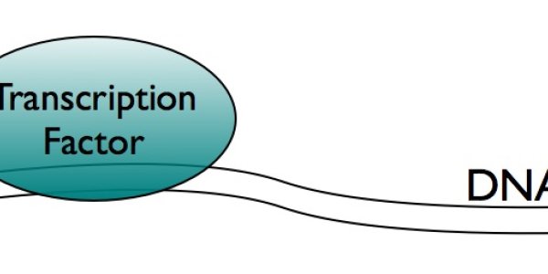 The Latest Technology May Not Have Transformed Your Health, But It Has Changed Science